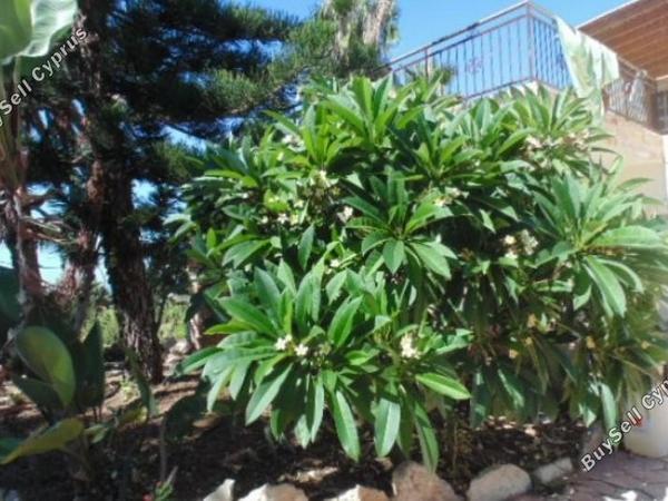 5 bedroom detached house for sale saint george peyia paphos 7738948 image 12566916