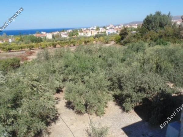 5 bedroom detached house for sale saint george peyia paphos 7738948 image 12566918