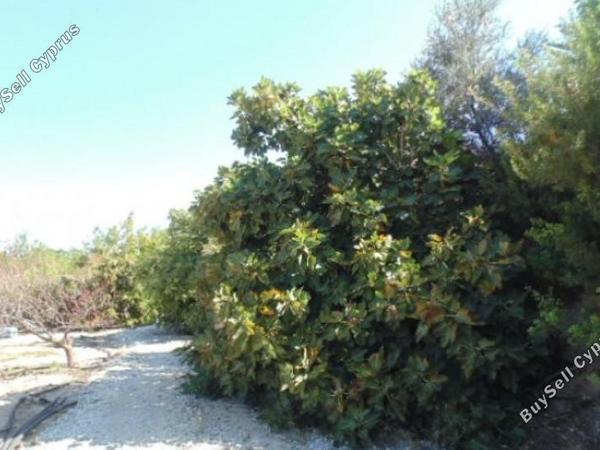 5 bedroom detached house for sale saint george peyia paphos 7738948 image 12566927