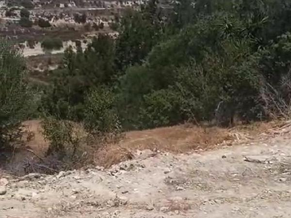 land for sale agios ambrosios limassol 1895948 image 7197505