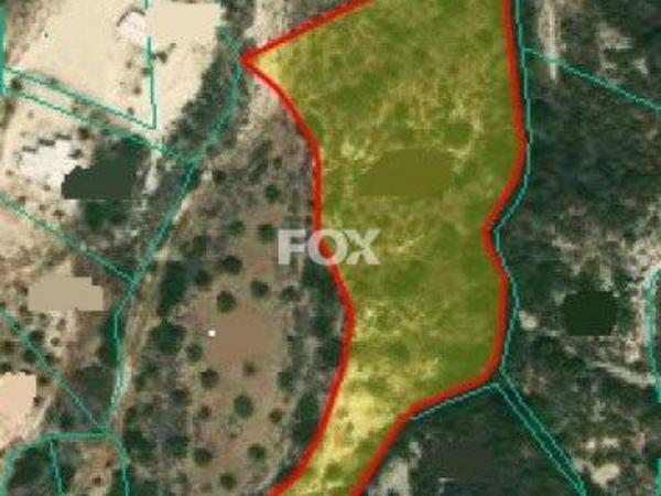 land for sale drousia paphos 1158948 image 5512210