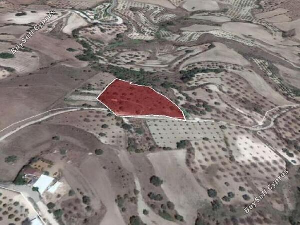 land for sale simou paphos 1352948 image 2540657