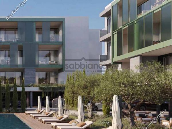 1 bedroom apartment for sale paphos municipality paphos 8753058 image 16506993