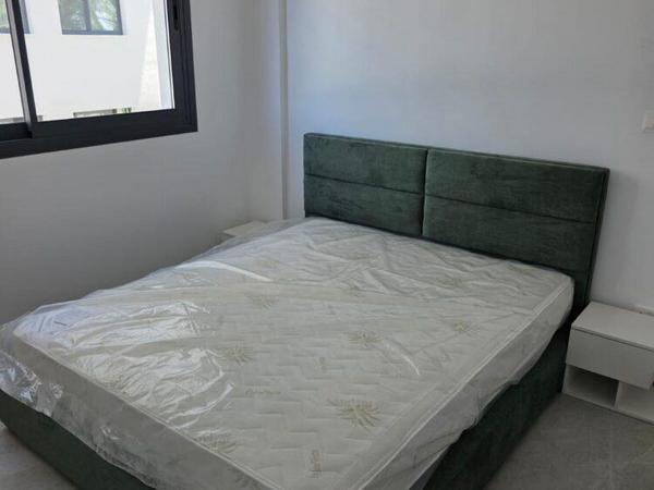 2 bedroom apartment for rent paphos municipality paphos 8780058 image 16638008