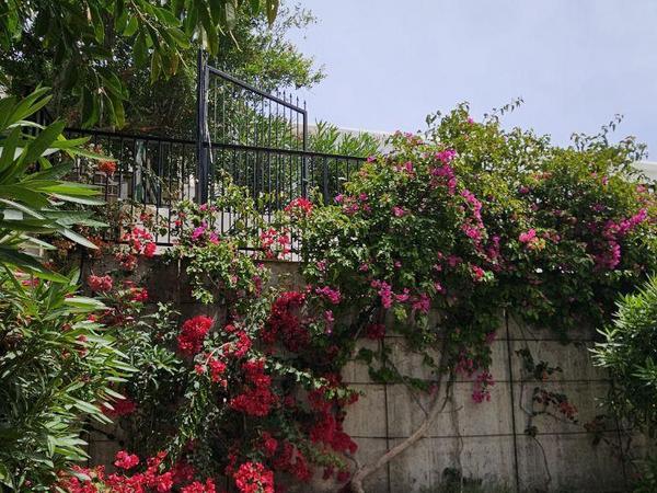 3 bedroom semi detached house for sale tombs of the kings paphos 1821058 image 6355656