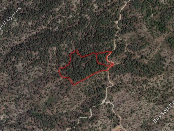 land for sale agios mamas limassol 829058 image 11081629