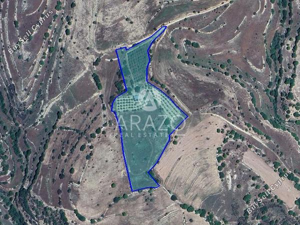 land for sale dora limassol 1927058 image 7539343