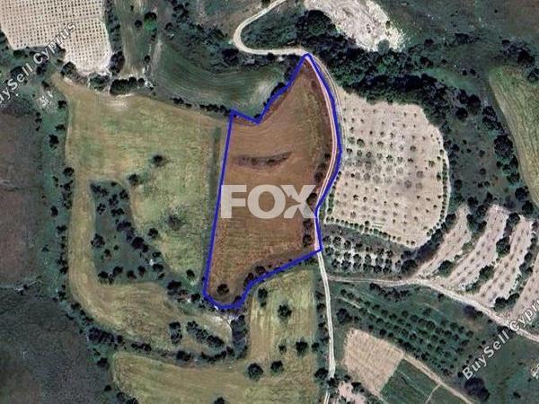 land for sale kannaviou paphos 1291058 image 5586312