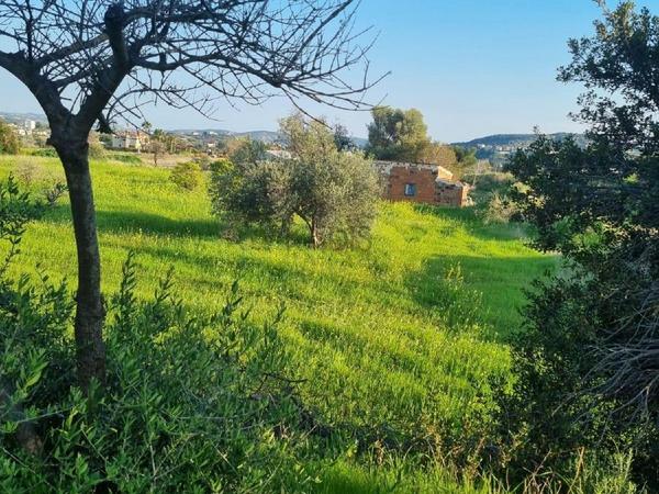 land for sale parekklisia limassol 7913058 image 11173734