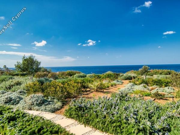 4 bedroom detached house for sale saint george peyia paphos 7739158 image 15806598