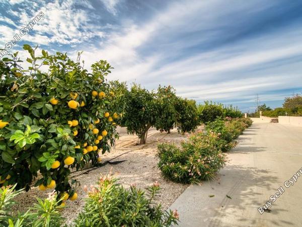 7 bedroom detached house for sale emba paphos 7738158 image 15640520