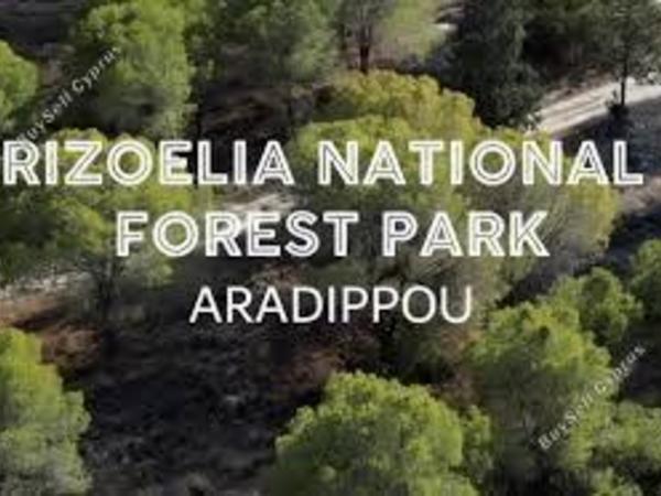land for sale aradippou larnaca 1710158 image 6319333