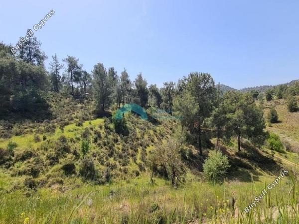 land for sale kapedes nicosia 7513158 image 9380860
