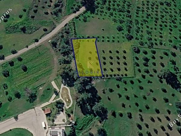 land for sale kornos larnaca 8711158 image 16276778