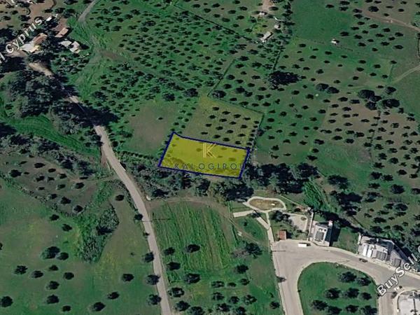 land for sale kornos larnaca 8711158 image 16276779