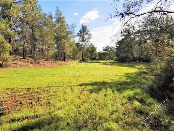 land for sale shia nicosia 1151158 image 12671126