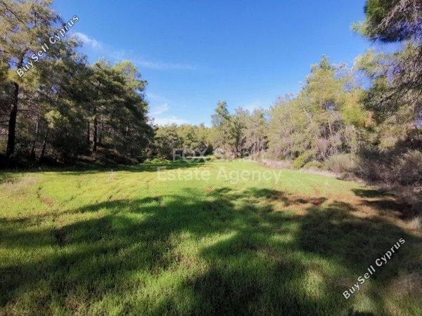 land for sale shia nicosia 1151158 image 12671131