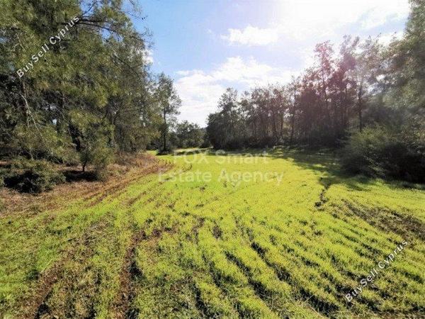 land for sale shia nicosia 1151158 image 12671136
