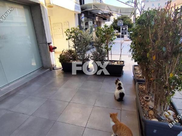 studio shop for sale neapolis limassol 1648158 image 5659846