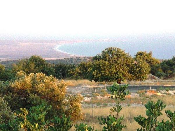 3 bedroom detached house for sale souni zanakia limassol 7543258 image 14512037