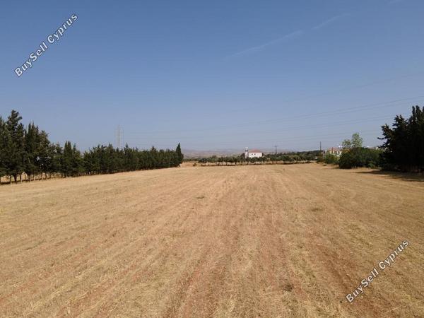 land for sale kouklia pafou paphos 8395258 image 14818036