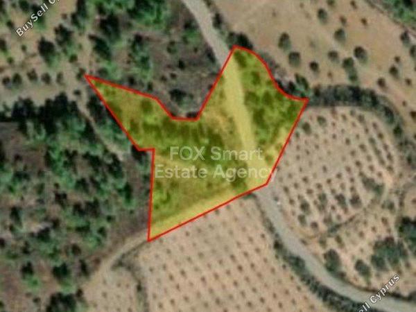 land for sale lythrodontas nicosia 1151258 image 5131181
