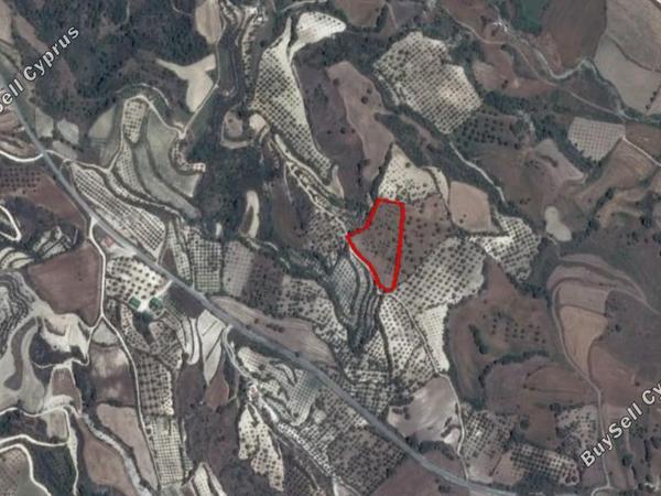 land for sale simou paphos 828258 image 15177828