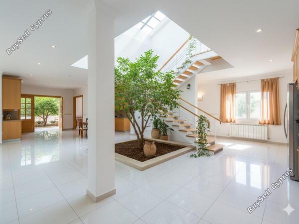 studio commercial building for rent petrou kai pavlou limassol 8113258 image 14055948