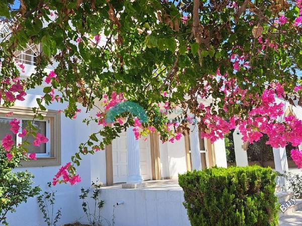 3 bedroom detached house for rent pervolia larnaca 7526358 image 16391453