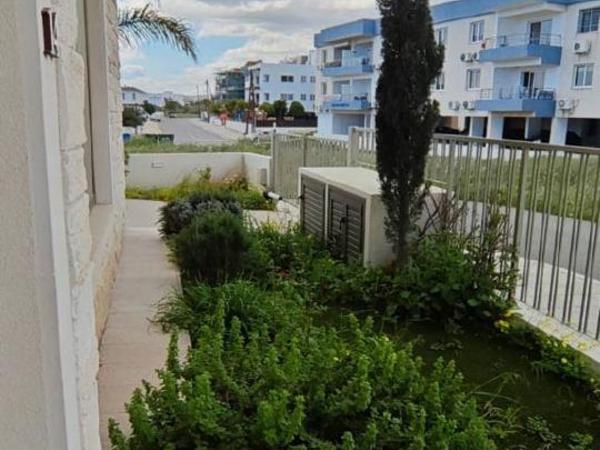 3 bedroom detached house for sale livadia larnacas larnaca 8473358 image 16688299