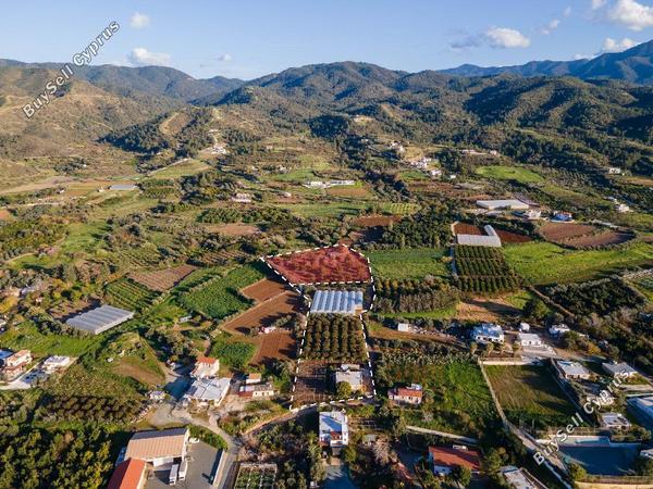 land for sale agia marina chrysochous paphos 946358 image 15600055