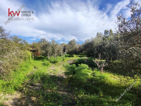 plot for sale agios theodoros larnacas larnaca 1621358 image 16122556