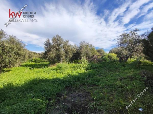 plot for sale agios theodoros larnacas larnaca 1621358 image 16122559