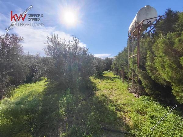 plot for sale agios theodoros larnacas larnaca 1621358 image 16122562