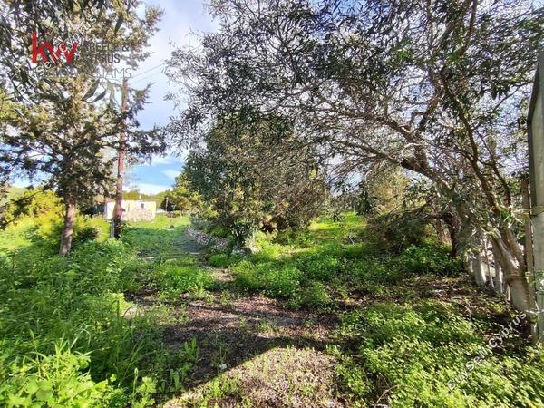 plot for sale agios theodoros larnacas larnaca 1621358 image 16122572