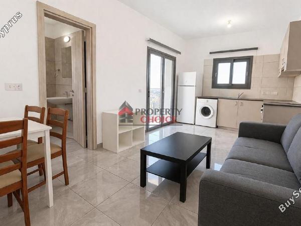 1 bedroom apartment for rent egkomi nicosia 8771458 image 16572860