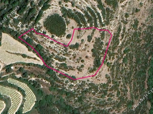 land for sale koili paphos 1897458 image 14205728
