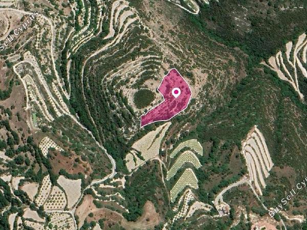 land for sale koili paphos 1897458 image 14205731