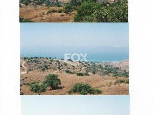 land for sale tala paphos 1159458 image 14827143