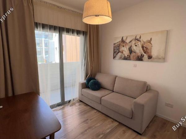 2 bedroom apartment for sale agios nektarios limassol 1545558 image 14246822