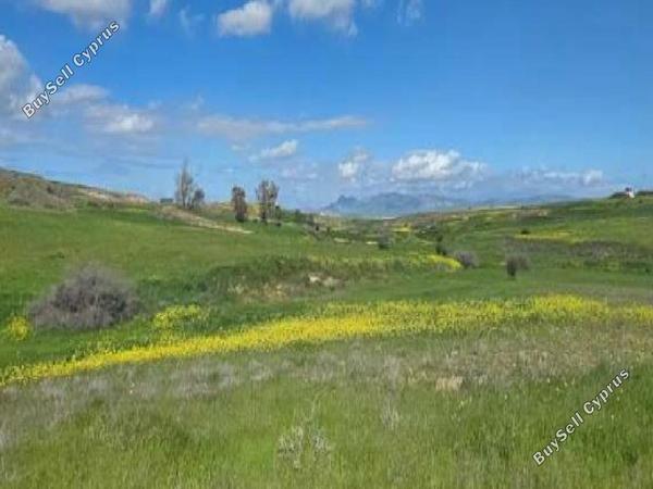land for sale palaiometocho nicosia 8666558 image 16010408