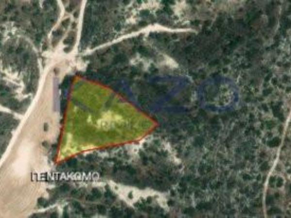 land for sale pentakomo limassol 1735558 image 9775967