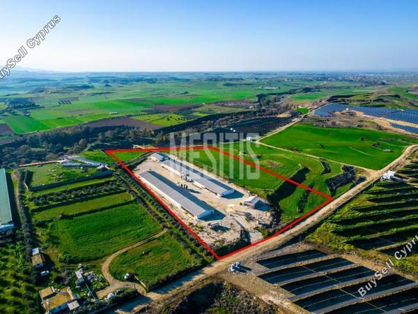 land for sale apostolos andreas limassol limassol 1618758 image 10522339