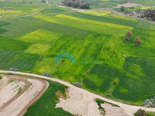 land for sale lympia nicosia 918758 image 5415711