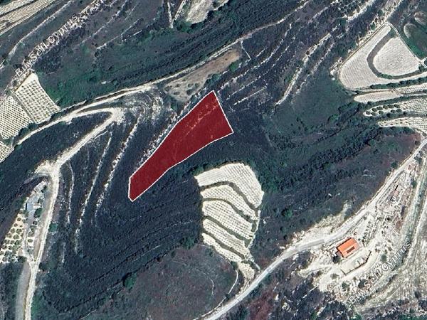 land for sale pachna limassol 8531858 image 15467462