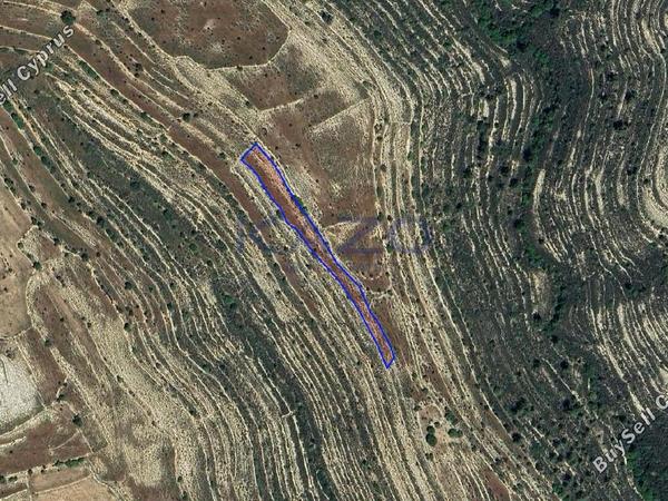 land for sale lofou limassol 8381958 image 15880848