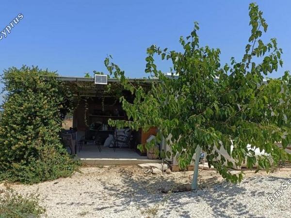 land for sale neo chorio paphos 1385958 image 15298833
