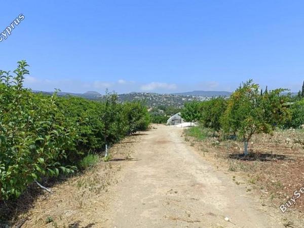 land for sale neo chorio paphos 1385958 image 15298841