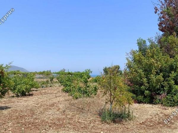 land for sale neo chorio paphos 1385958 image 15298844