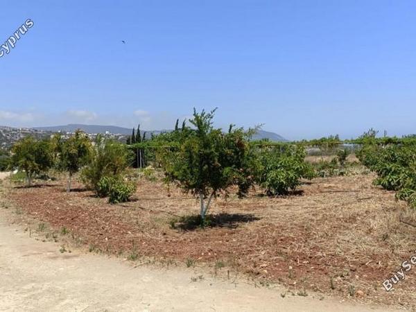 land for sale neo chorio paphos 1385958 image 15298848